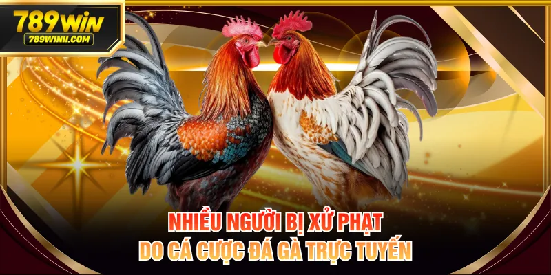 Nhiều người bị xử phạt do cá cược đá gà trực tuyến